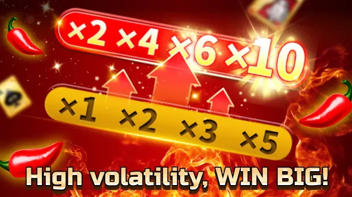 Variety of slot games